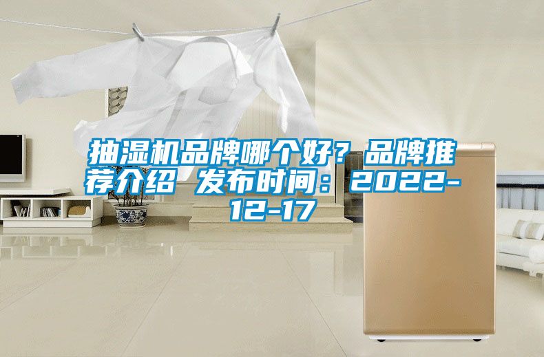 抽濕機品牌哪個好？品牌推薦介紹 發(fā)布時間：2022-12-17