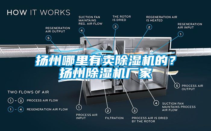 揚州哪里有賣除濕機的？揚州除濕機廠家