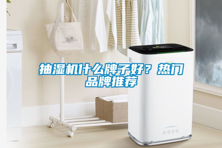 抽濕機(jī)什么牌子好？熱門品牌推薦