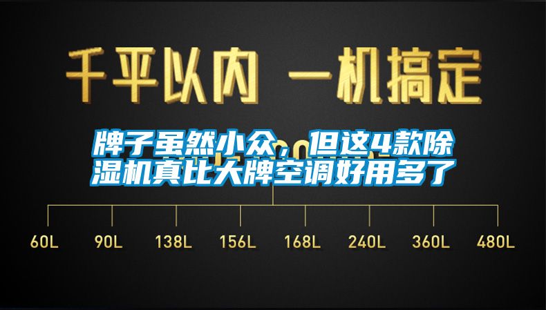 牌子雖然小眾，但這4款除濕機(jī)真比大牌空調(diào)好用多了