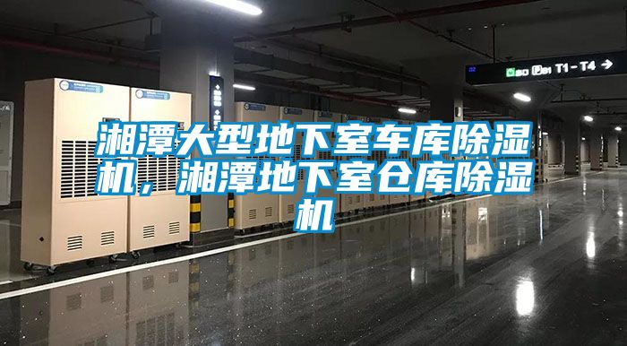 湘潭大型地下室車庫除濕機，湘潭地下室倉庫除濕機