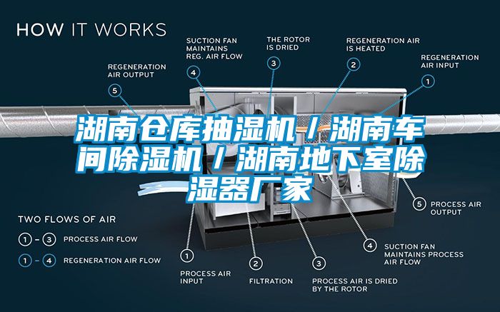 湖南倉(cāng)庫抽濕機(jī)／湖南車間除濕機(jī)／湖南地下室除濕器廠家