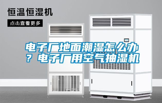 電子廠地面潮濕怎么辦？電子廠用空氣抽濕機(jī)