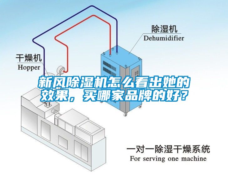 新風(fēng)除濕機(jī)怎么看出她的效果，買哪家品牌的好？