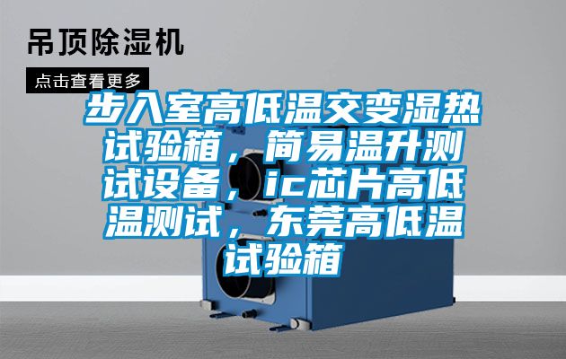 步入室高低溫交變濕熱試驗箱，簡易溫升測試設(shè)備，ic芯片高低溫測試，東莞高低溫試驗箱