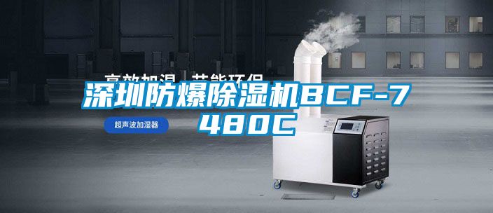 深圳防爆除濕機BCF-7480C