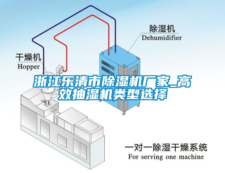 浙江樂清市除濕機廠家_高效抽濕機類型選擇