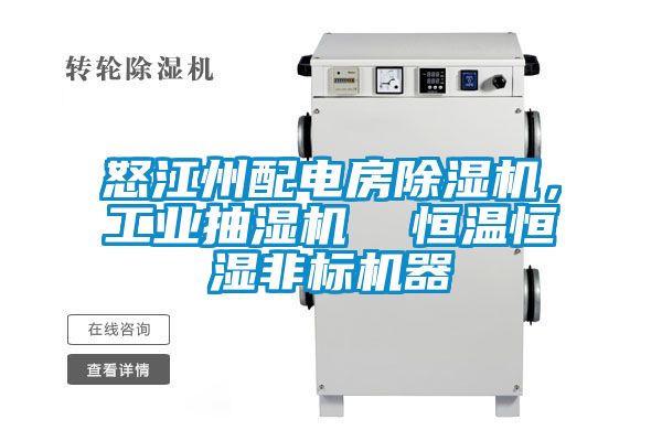 怒江州配電房除濕機，工業(yè)抽濕機  恒溫恒濕非標(biāo)機器