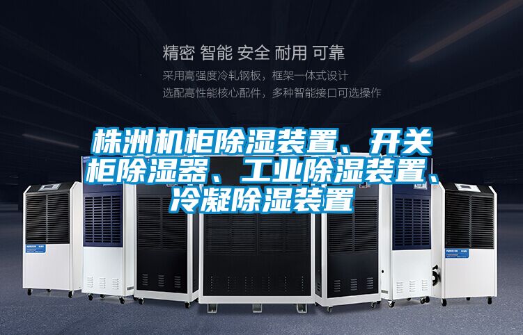 株洲機柜除濕裝置、開關柜除濕器、工業(yè)除濕裝置、冷凝除濕裝置