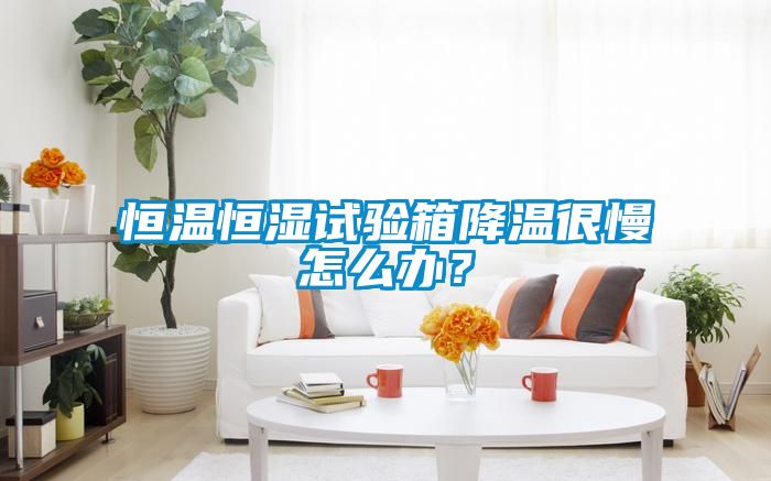 恒溫恒濕試驗(yàn)箱降溫很慢怎么辦？