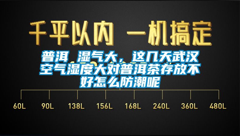 普洱 濕氣大，這幾天武漢空氣濕度大對普洱茶存放不好怎么防潮呢