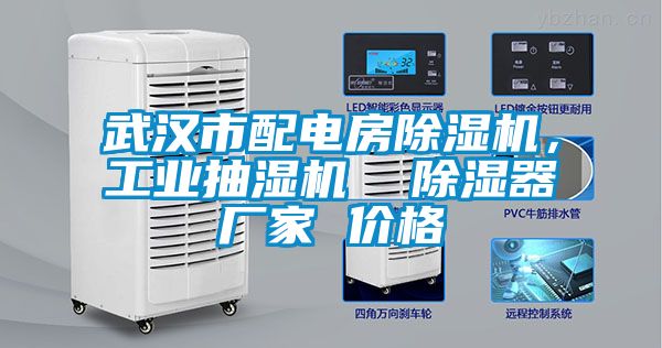 武漢市配電房除濕機，工業(yè)抽濕機  除濕器廠家 價格