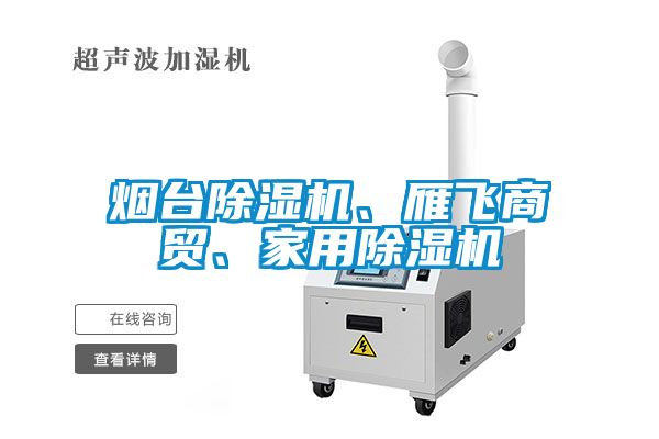 煙臺(tái)除濕機(jī)、雁飛商貿(mào)、家用除濕機(jī)