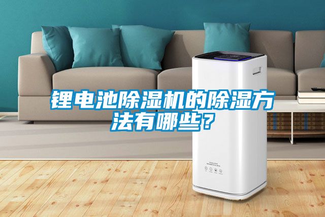 鋰電池除濕機(jī)的除濕方法有哪些？