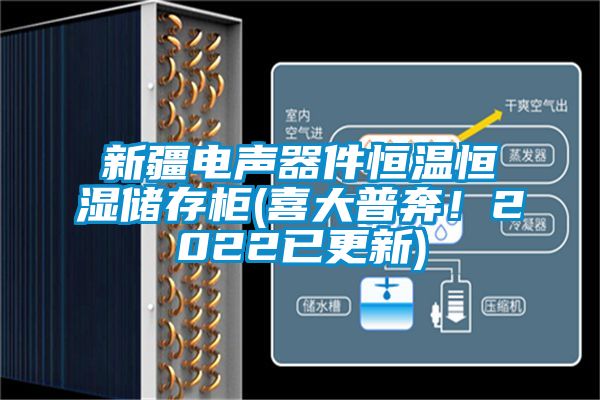 新疆電聲器件恒溫恒濕儲存柜(喜大普奔！2022已更新)