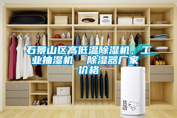 石景山區(qū)高低溫除濕機，工業(yè)抽濕機  除濕器廠家 價格