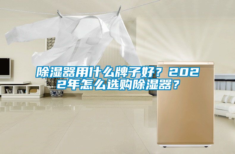 除濕器用什么牌子好？2022年怎么選購除濕器？