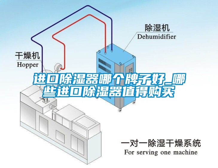 進口除濕器哪個牌子好_哪些進口除濕器值得購買