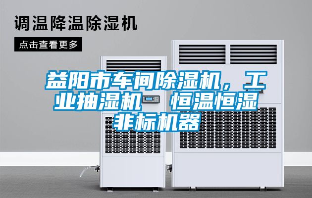 益陽市車間除濕機，工業(yè)抽濕機  恒溫恒濕非標機器