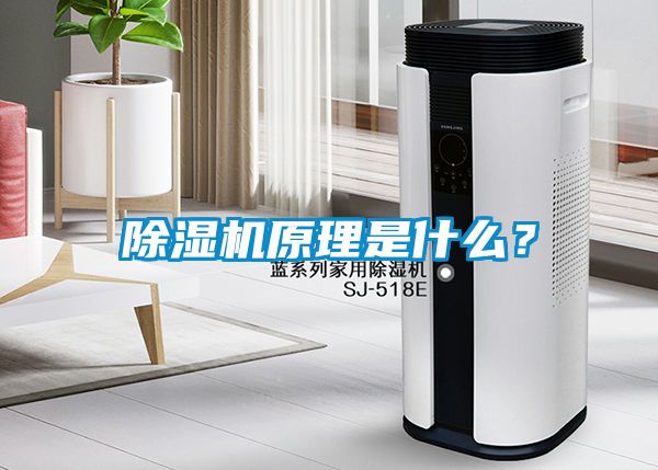 除濕機(jī)原理是什么？