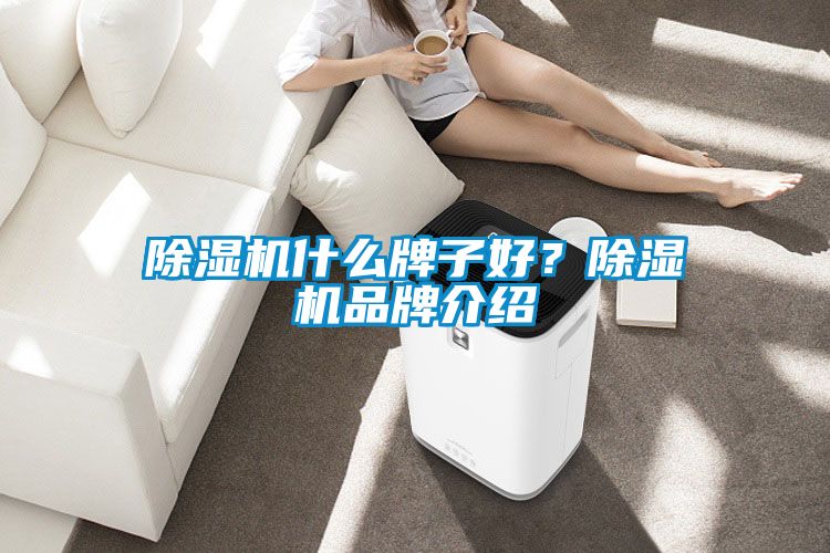 除濕機(jī)什么牌子好？除濕機(jī)品牌介紹