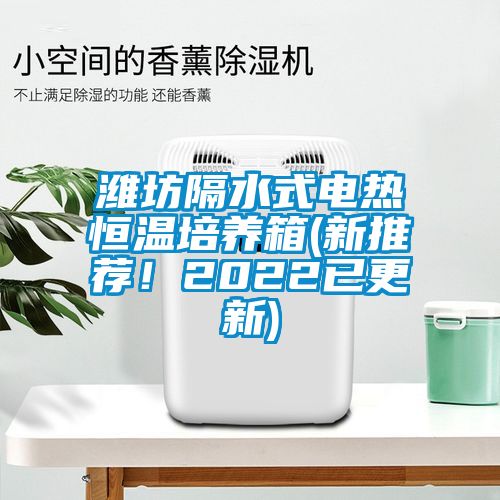 濰坊隔水式電熱恒溫培養(yǎng)箱(新推薦！2022已更新)