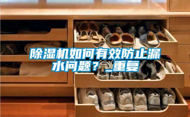 除濕機(jī)如何有效防止漏水問題？_重復(fù)