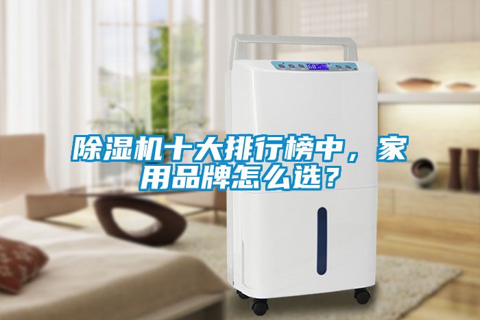 除濕機十大排行榜中，家用品牌怎么選？