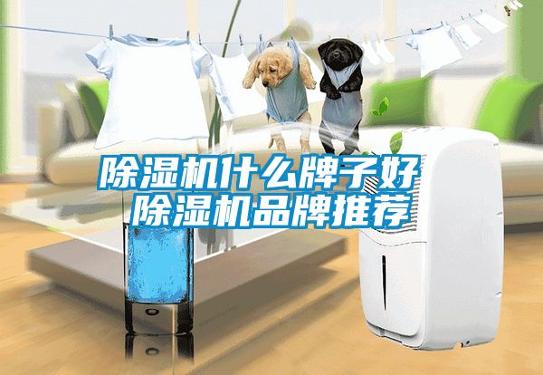 除濕機什么牌子好 除濕機品牌推薦