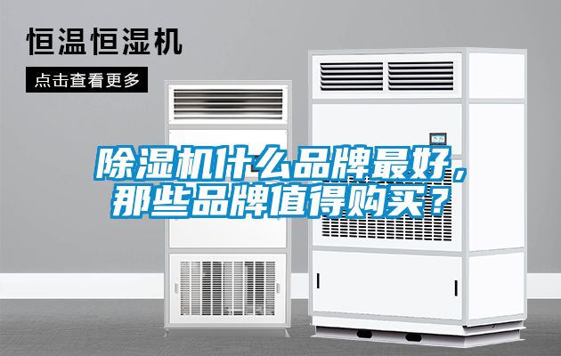 除濕機(jī)什么品牌最好，那些品牌值得購(gòu)買(mǎi)？