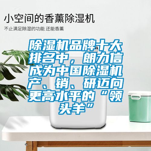 除濕機(jī)品牌十大排名中，朗力信成為中國(guó)除濕機(jī)產(chǎn)、銷、研邁向更高水平的“領(lǐng)頭羊”