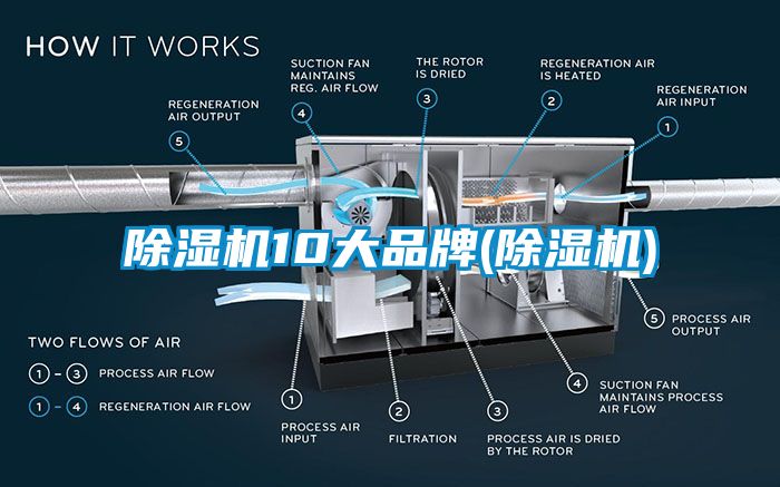 除濕機(jī)10大品牌(除濕機(jī))