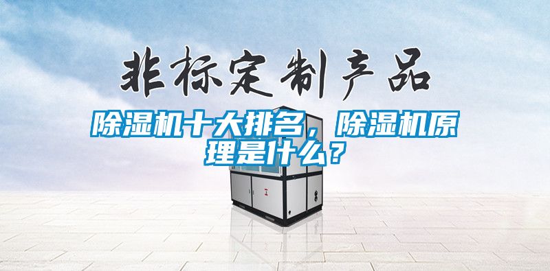 除濕機(jī)十大排名，除濕機(jī)原理是什么？