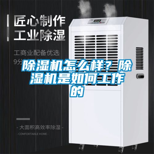 除濕機(jī)怎么樣？除濕機(jī)是如何工作的