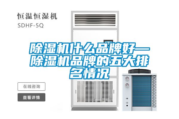 除濕機(jī)什么品牌好—除濕機(jī)品牌的五大排名情況