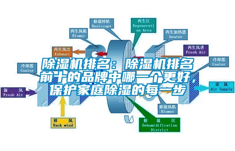 除濕機(jī)排名：除濕機(jī)排名前十的品牌中哪一個(gè)更好，保護(hù)家庭除濕的每一步