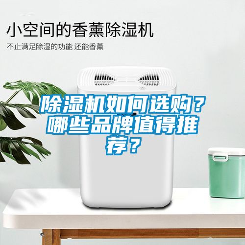 除濕機如何選購？哪些品牌值得推薦？