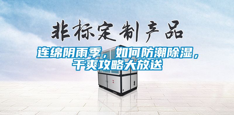 連綿陰雨季，如何防潮除濕，干爽攻略大放送