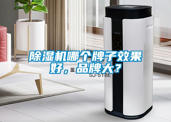 除濕機哪個牌子效果好，品牌大？