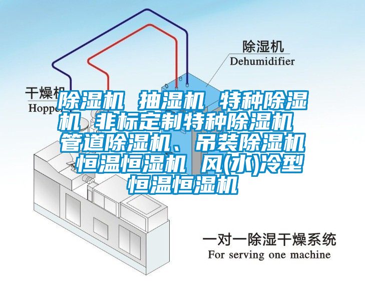 除濕機 抽濕機 特種除濕機 非標定制特種除濕機 管道除濕機、吊裝除濕機 恒溫恒濕機 風(水)冷型恒溫恒濕機