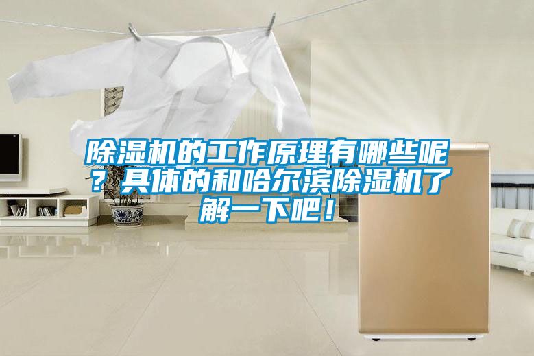 除濕機的工作原理有哪些呢？具體的和哈爾濱除濕機了解一下吧！