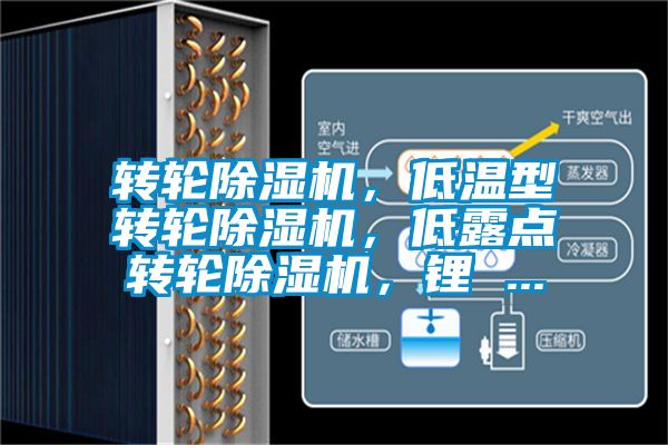 轉輪除濕機，低溫型轉輪除濕機，低露點轉輪除濕機，鋰 ...