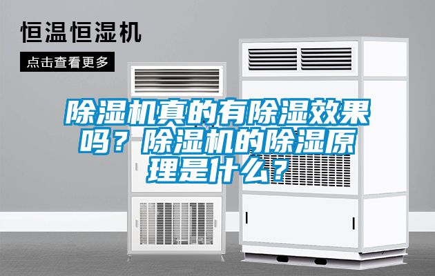 除濕機真的有除濕效果嗎？除濕機的除濕原理是什么？