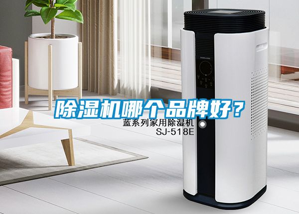 除濕機哪個品牌好？