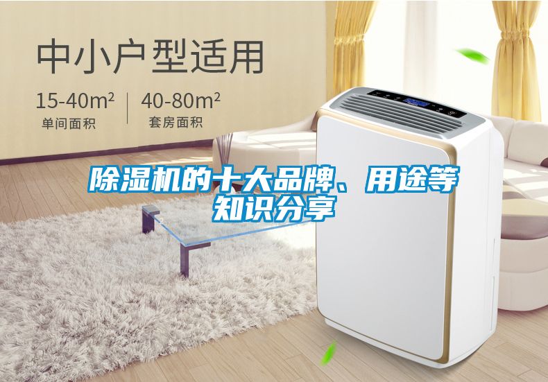 除濕機的十大品牌、用途等知識分享