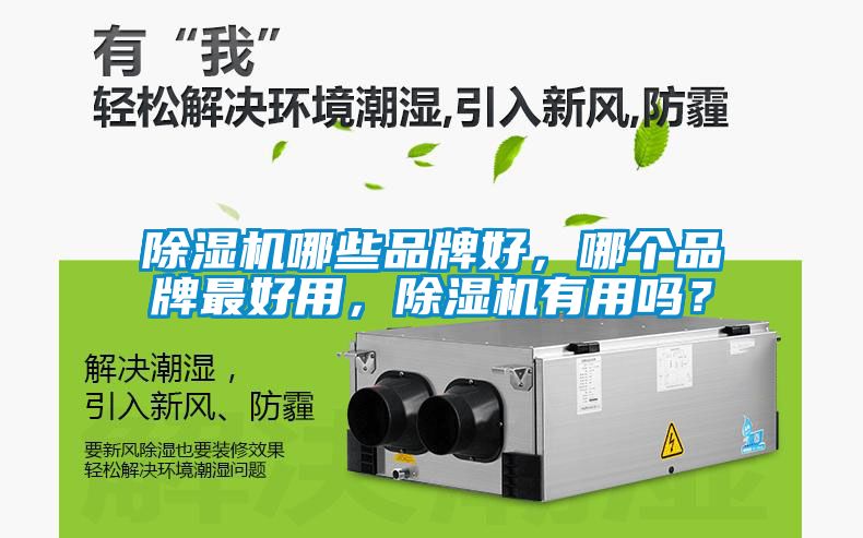 除濕機哪些品牌好，哪個品牌最好用，除濕機有用嗎？