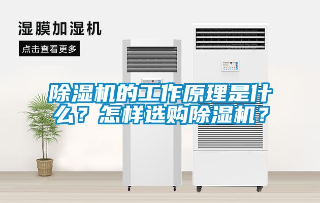 除濕機的工作原理是什么？怎樣選購除濕機？