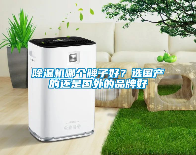 除濕機(jī)哪個(gè)牌子好？選國產(chǎn)的還是國外的品牌好