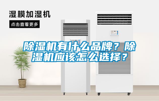 除濕機(jī)有什么品牌？除濕機(jī)應(yīng)該怎么選擇？