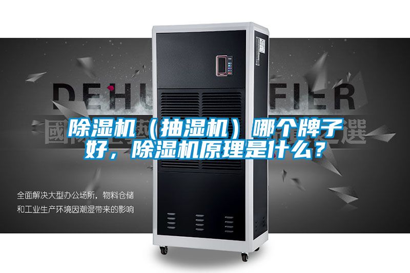 除濕機（抽濕機）哪個牌子好，除濕機原理是什么？